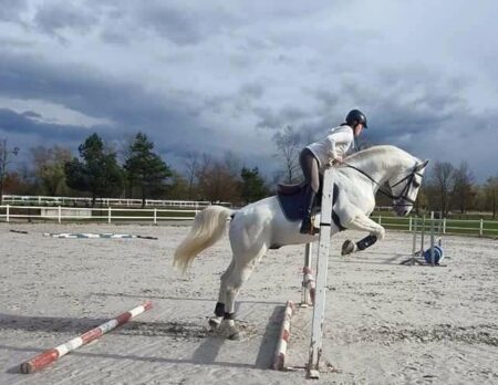 14 favory munja viii jump