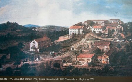 lipica stud farm kobilarna